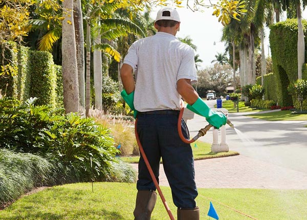 About Racine OH Pest Control Pros